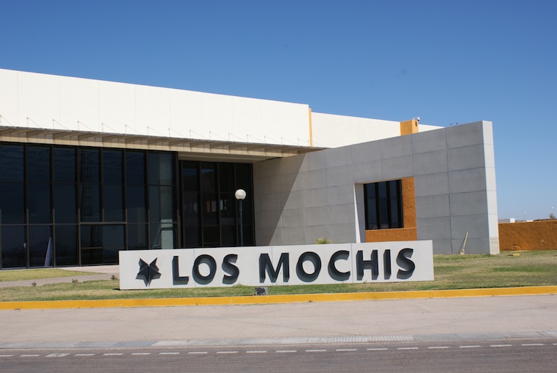 Valle del Fuerte International Airport